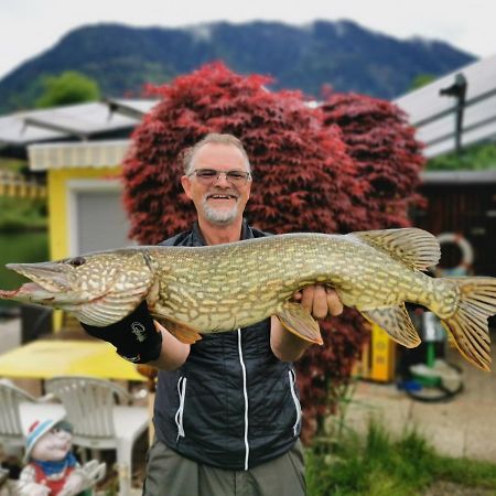 Ferienwohnungen Schiller Landskron Zewnętrze zdjęcie